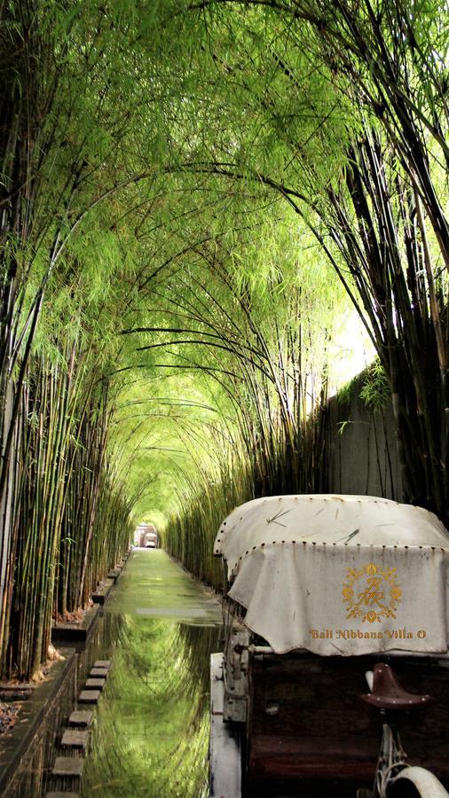 The Nibbana Villas 세미냑 외부 사진